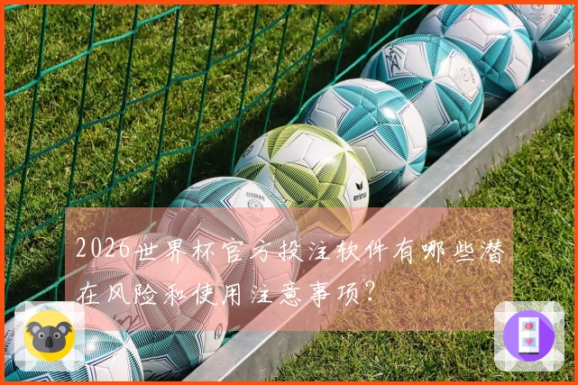 2026世界杯官方投注软件有哪些潜在风险和使用注意事项？