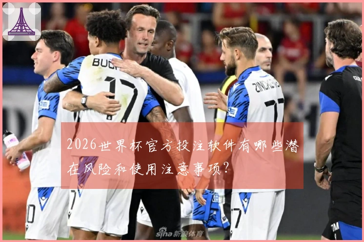 2026世界杯官方投注软件有哪些潜在风险和使用注意事项?
